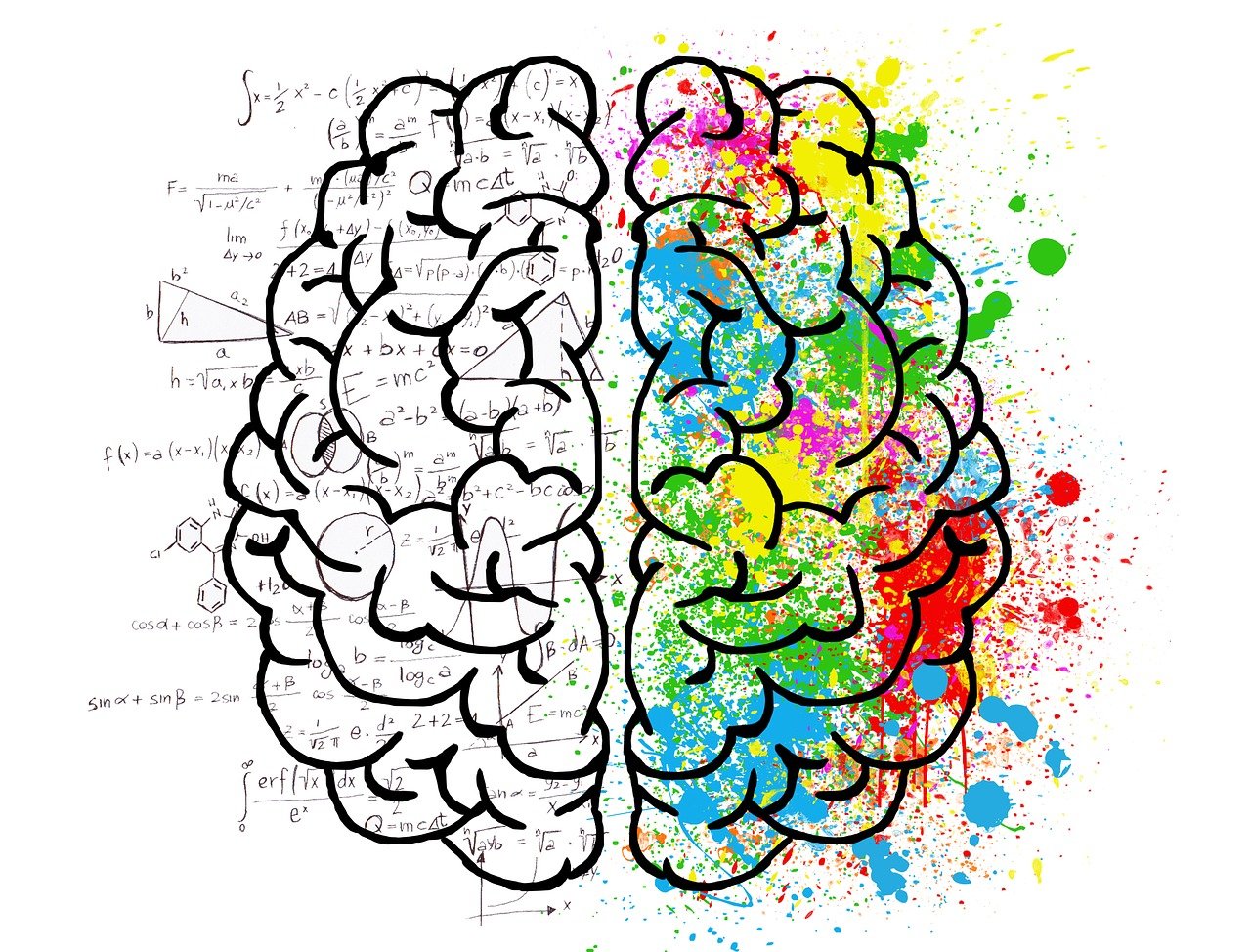 Pourquoi étudier la psychologie en staps ?